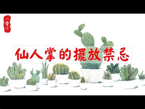 窗外有蜂巢 風水|專家揭秘:窗外風水的5大禁忌